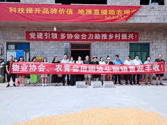 涪陵区微型企业协会引领多协会助企纾困助推猕