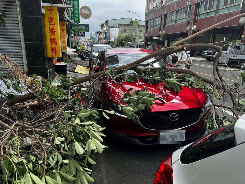 大树倒塌砸轿车,车主先一步上厕所惊呼幸运逃过一劫。(民众提供) 大树倒塌砸轿车,车主先一步上厕所惊呼幸运逃过一劫。(民众提供)